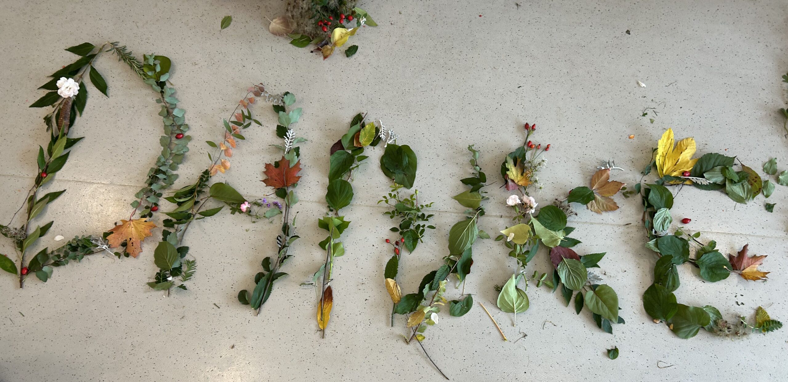 Erntedank 20251017 081831123 ios